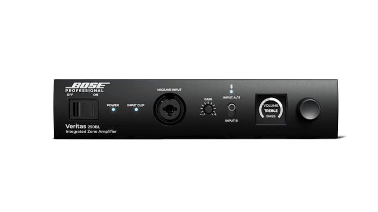 Bose Veritas 250BL Amplifier - Side View